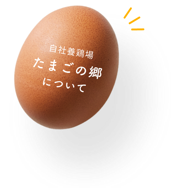 egg