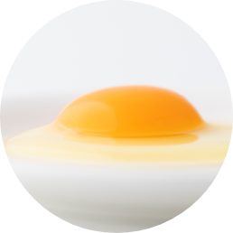 Egg from Okutanba